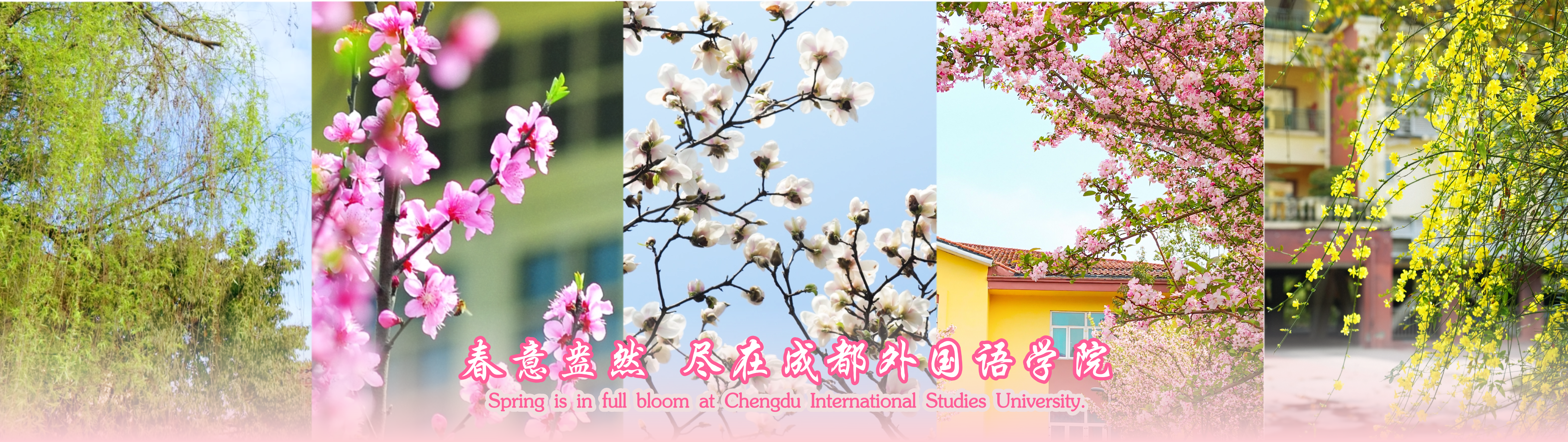 春意盎然 尽在华亿体育app